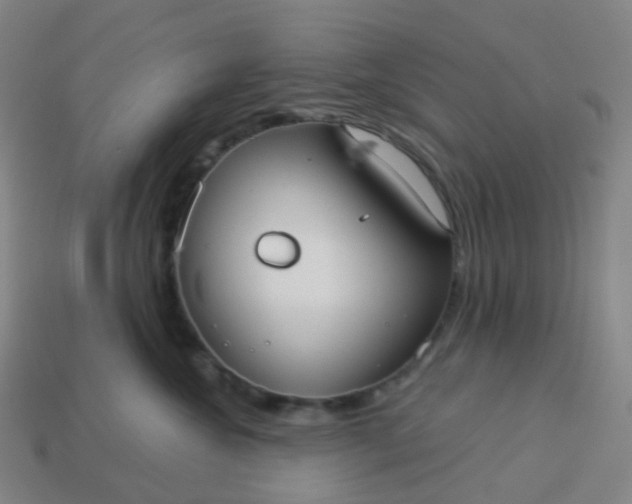 X0000114070572200910191524