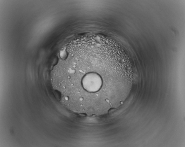 X0000114070573200910191524