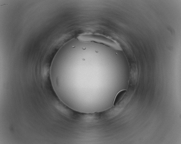 X0000114070574200910191524