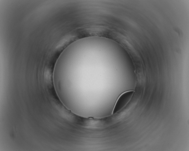 X0000114070575200910191524