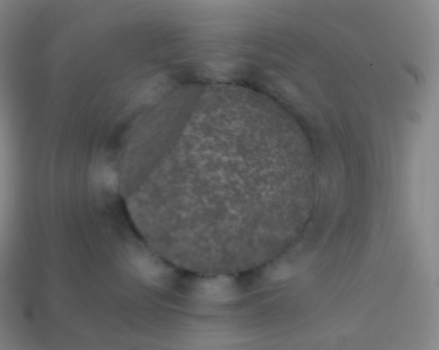 X0000114070576200910191524