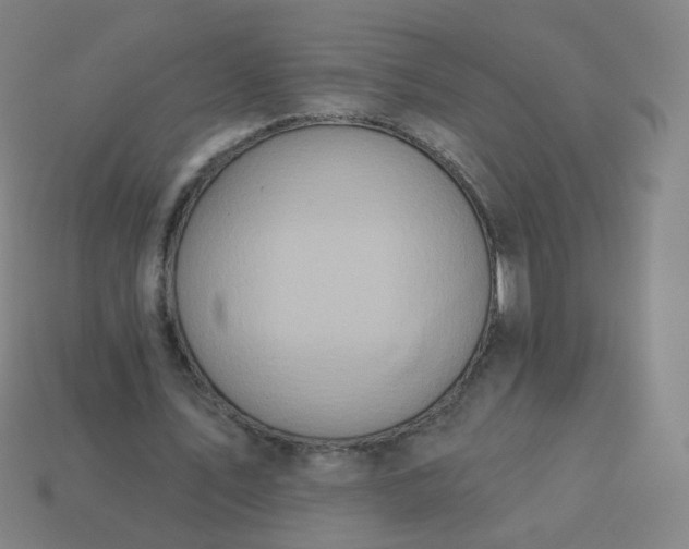 X0000114070579200910191524