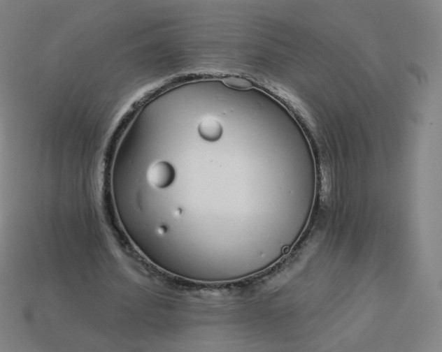 X0000114070580200910191524