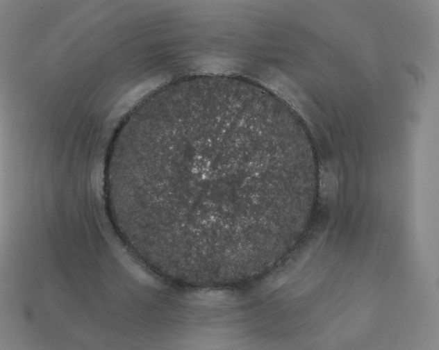 X0000114070581200910191524