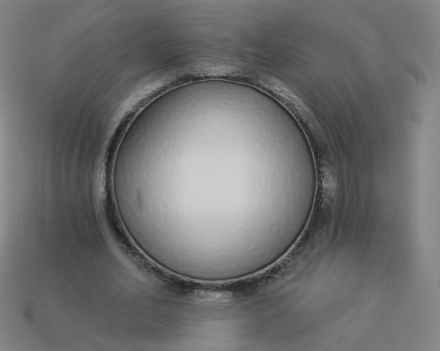 X0000114070582200910191524