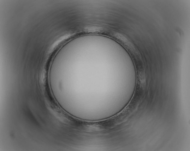 X0000114070583200910191524