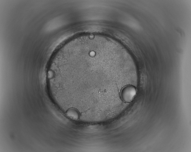 X0000114070584200910191524