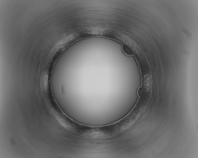 X0000114070589200910191523