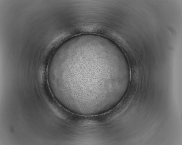 X0000114070590200910191523