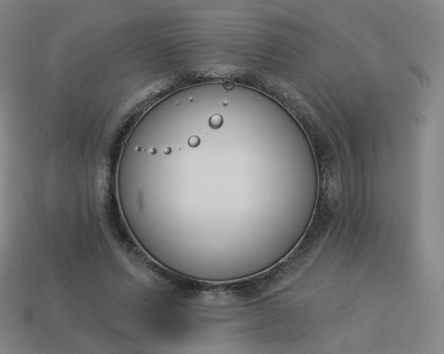 X0000114070591200910191523