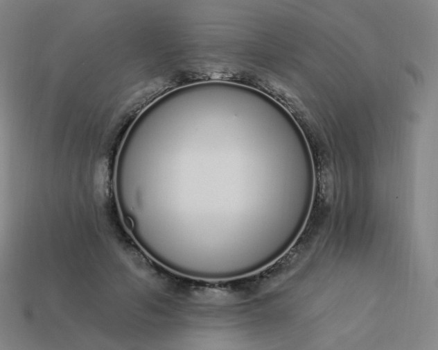 X0000114070594200910191523