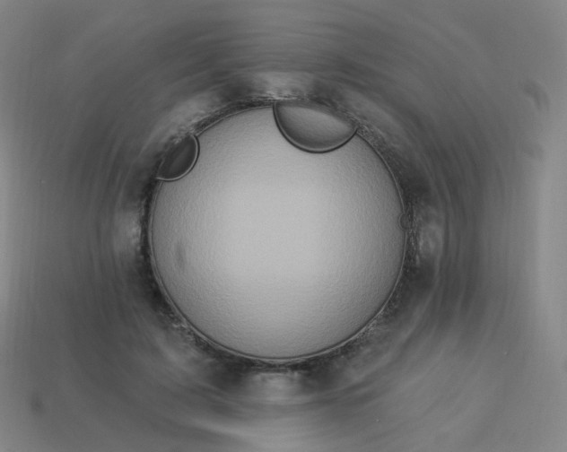 X0000114070595200910191523