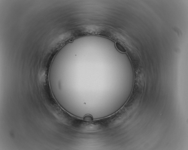 X0000114070597200910191523