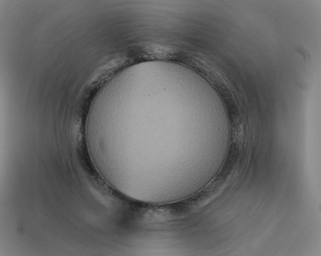 X0000114070599200910191523