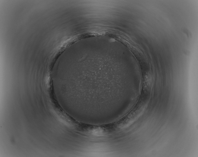 X0000114070600200910191523