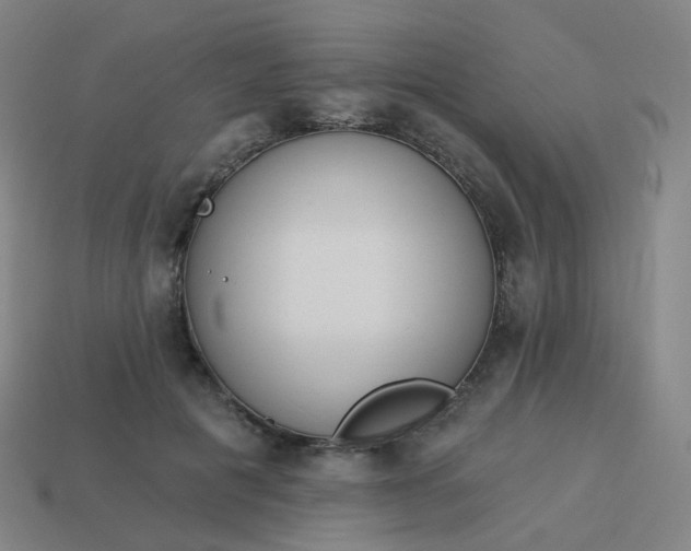 X0000114070601200910191523