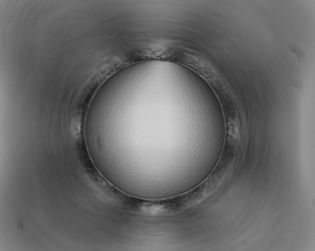 X0000114070602200910191523