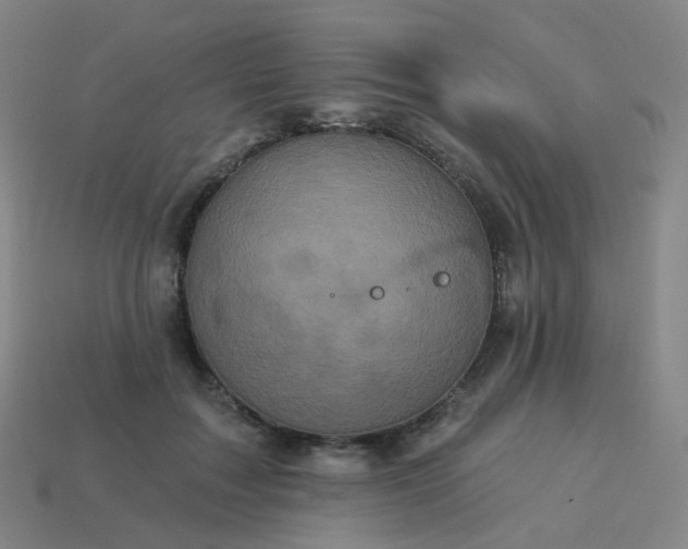 X0000114070603200910191523