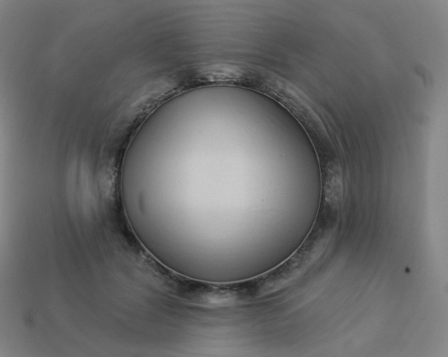 X0000114070604200910191523