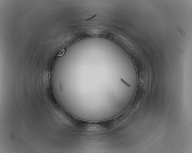 X0000114070605200910191523