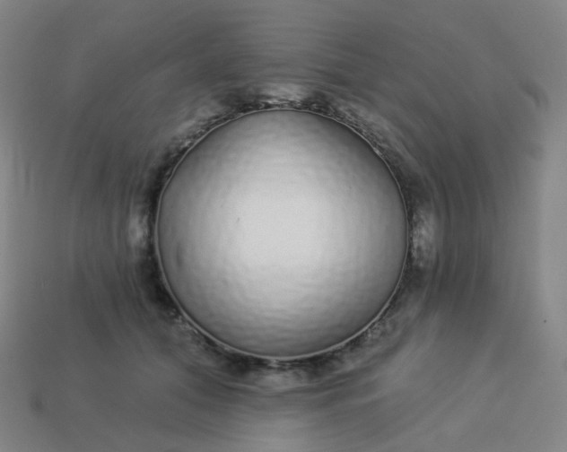 X0000114070608200910191523