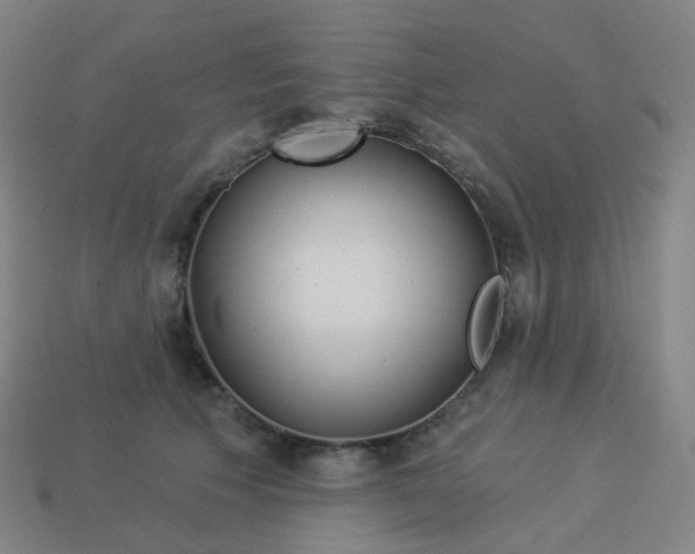 X0000114070609200910191523