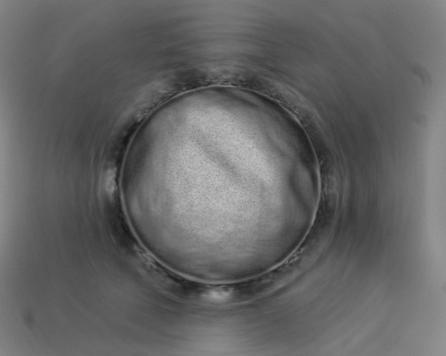 X0000114070610200910191523