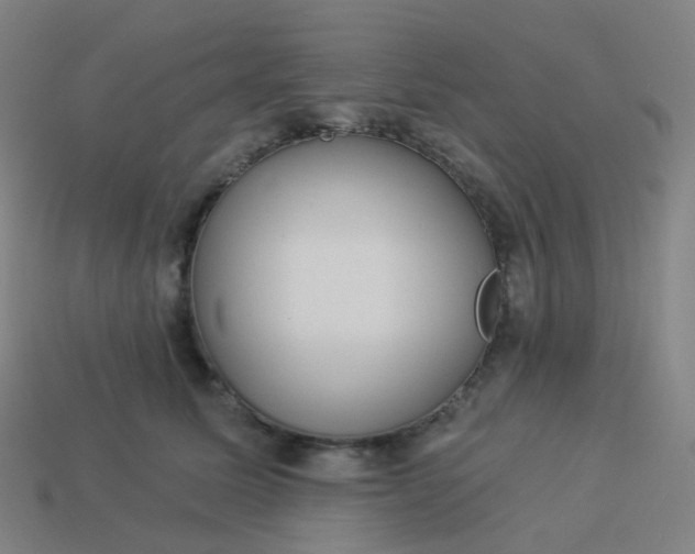 X0000114070611200910191523