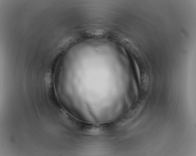 X0000114070612200910191523