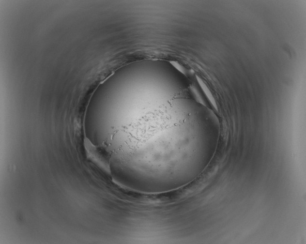 X0000114070613200910191523