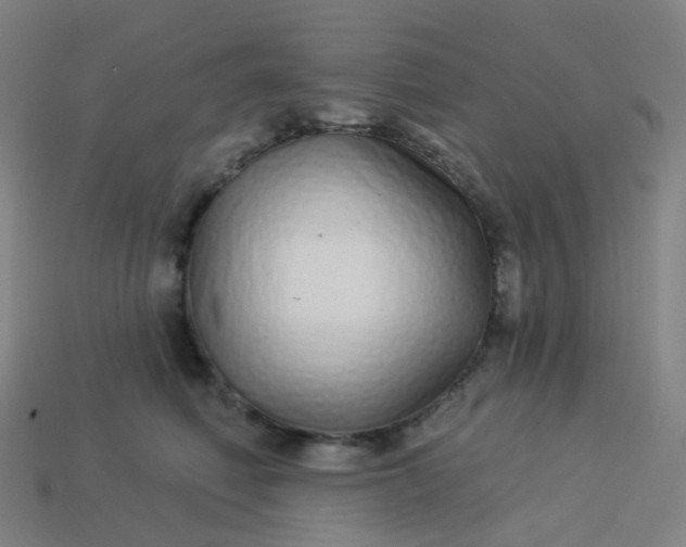 X0000114070614200910191523