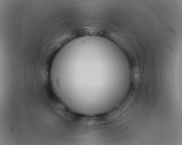 X0000114070615200910191523