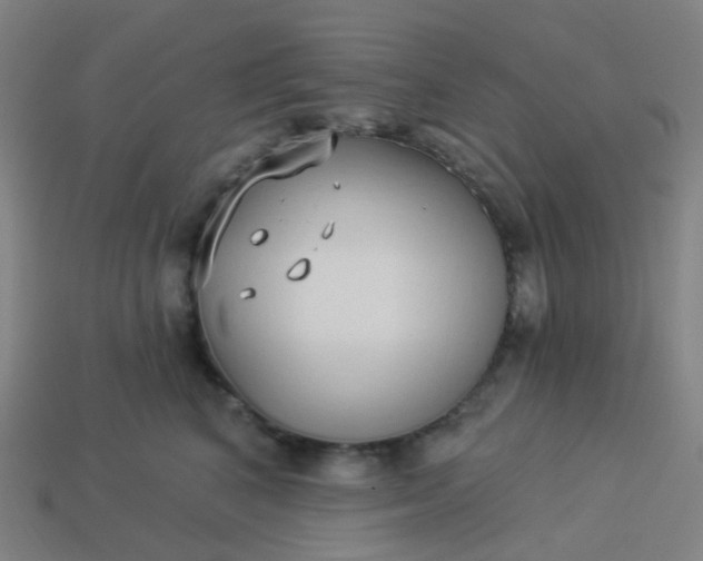 X0000114070616200910191523