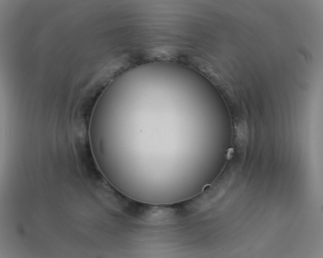 X0000114070617200910191523