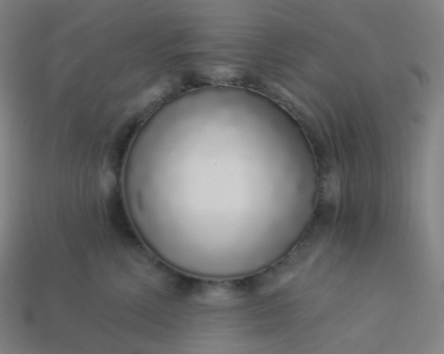 X0000114070618200910191523