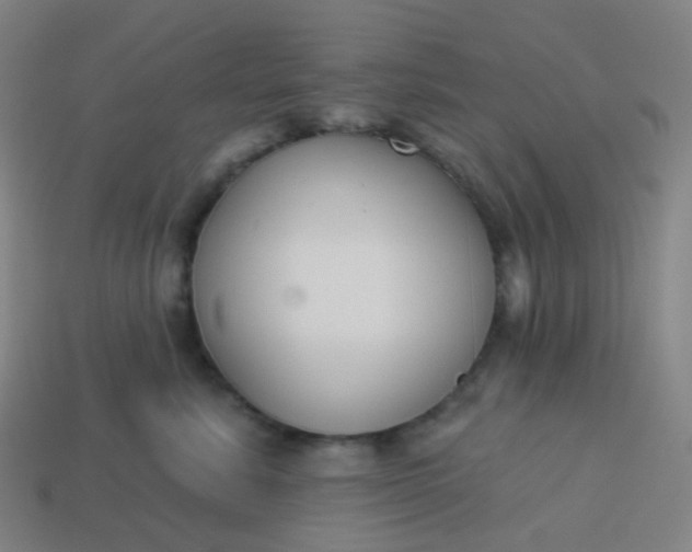 X0000114070619200910191523