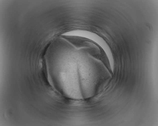 X0000114070621200910191523