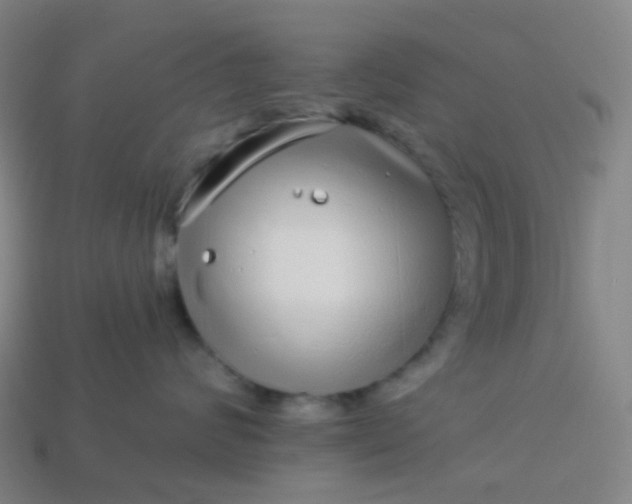 X0000114070624200910191523