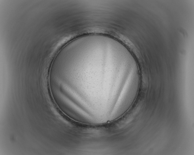 X0000114070625200910191522