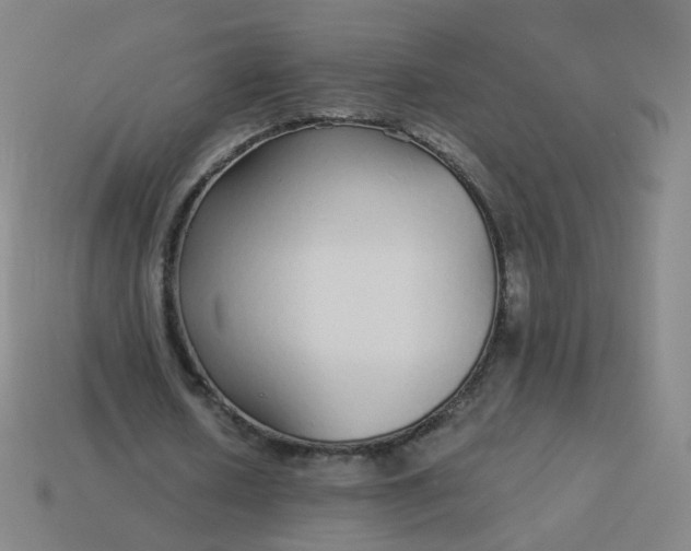 X0000114070626200910191522