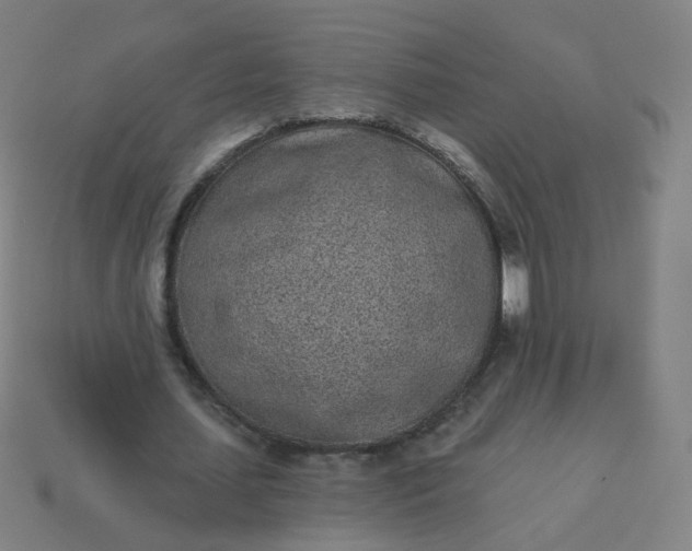 X0000114070627200910191522