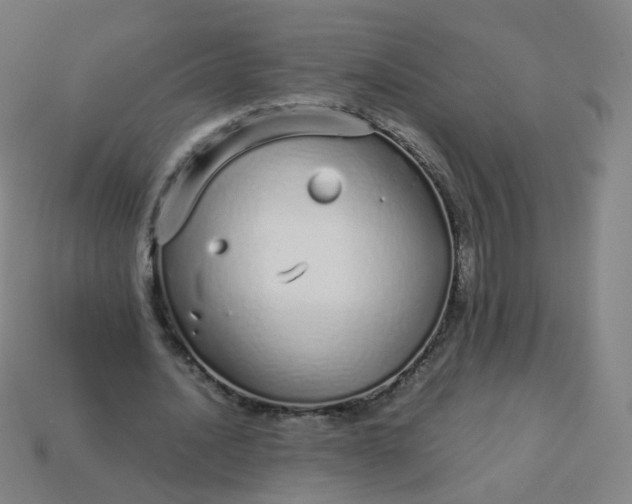 X0000114070628200910191522