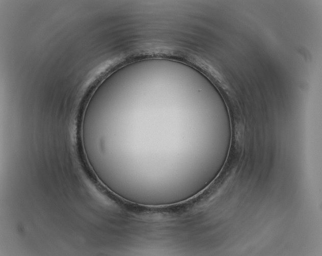 X0000114070629200910191522