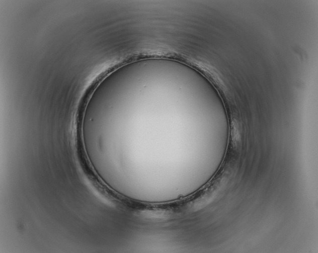 X0000114070630200910191522