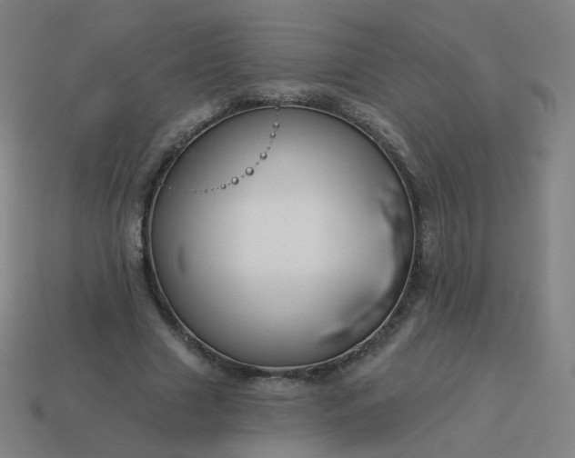 X0000114070633200910191522