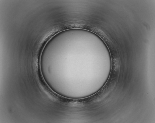 X0000114070634200910191522