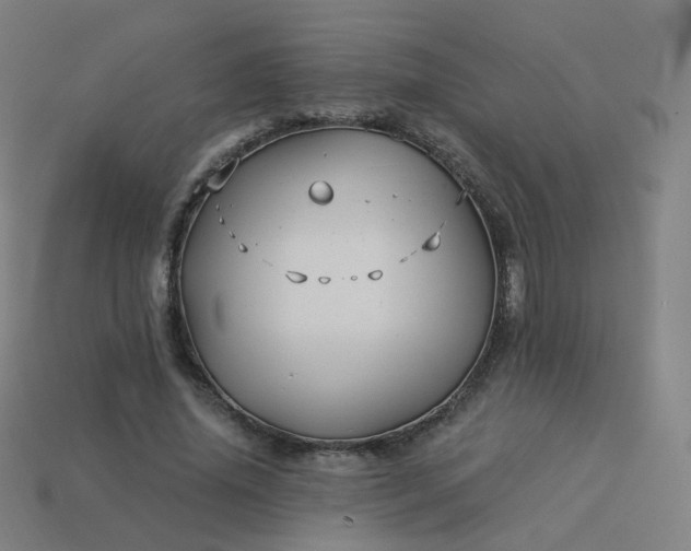 X0000114070636200910191523