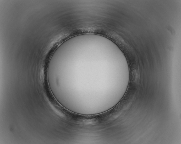 X0000114070638200910191523