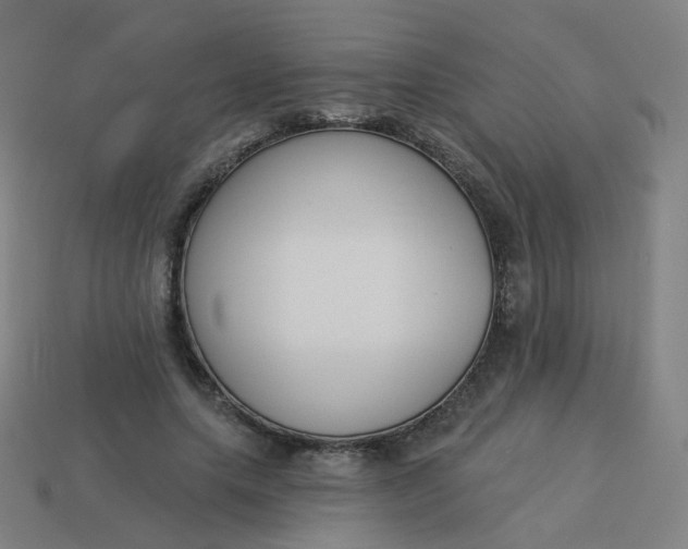 X0000114070639200910191523