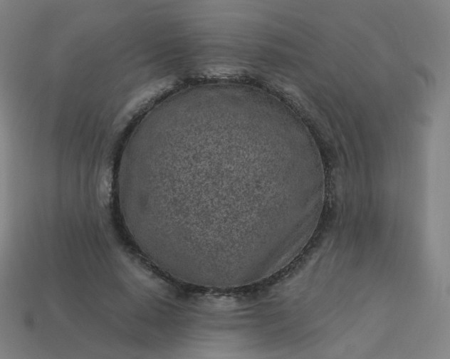 X0000114070640200910191523